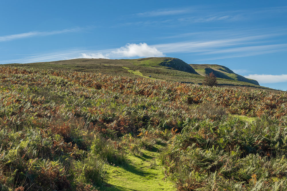 Barton Fell Barton Fell